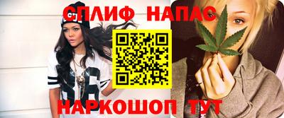 стаф Бузулук