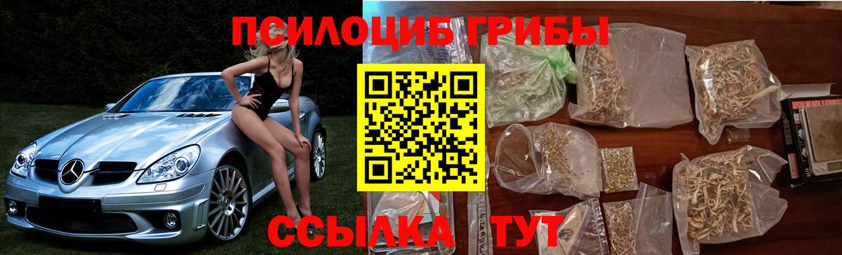 Галлюциногенные грибы GOLDEN TEACHER  Вход с VPN  Тольятти 